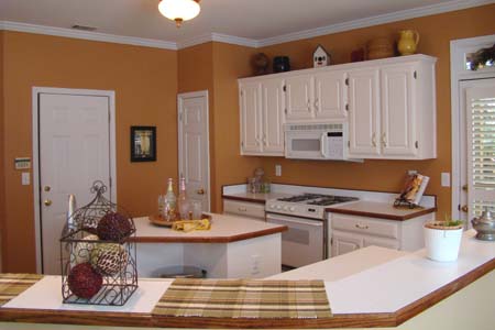 Home project picture